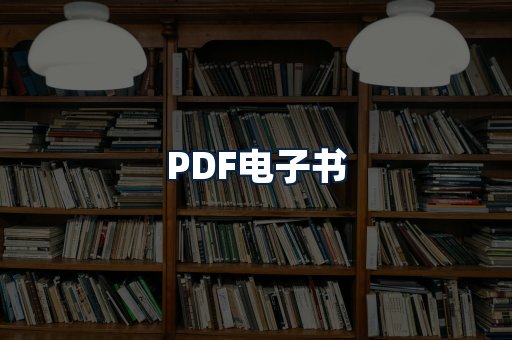PDF电子书